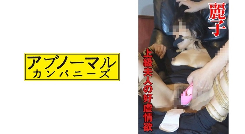 481SACZ-230-레이코