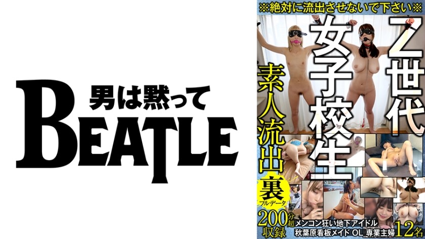 738GBLFX-001-아키하바라