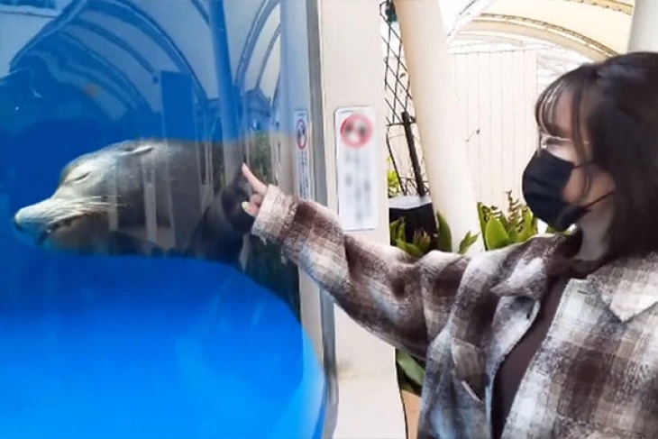 FC2PPV-2876197-일반인 지인의 여동생 일본 야동-노모