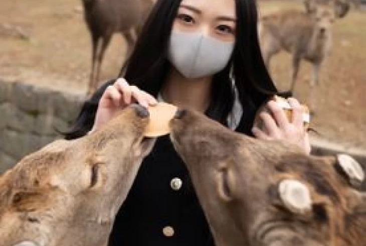 FC2 PPV 2577615-일반인  청초 미녀의 음란성벽 일본 야동-노모