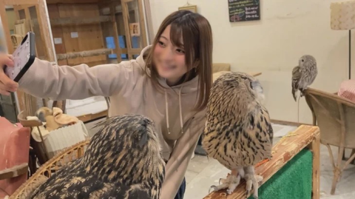 FC2PPV-2735071-일반인 나카시로 아오이 송뽀송 피부미소녀 일본 야동-노모