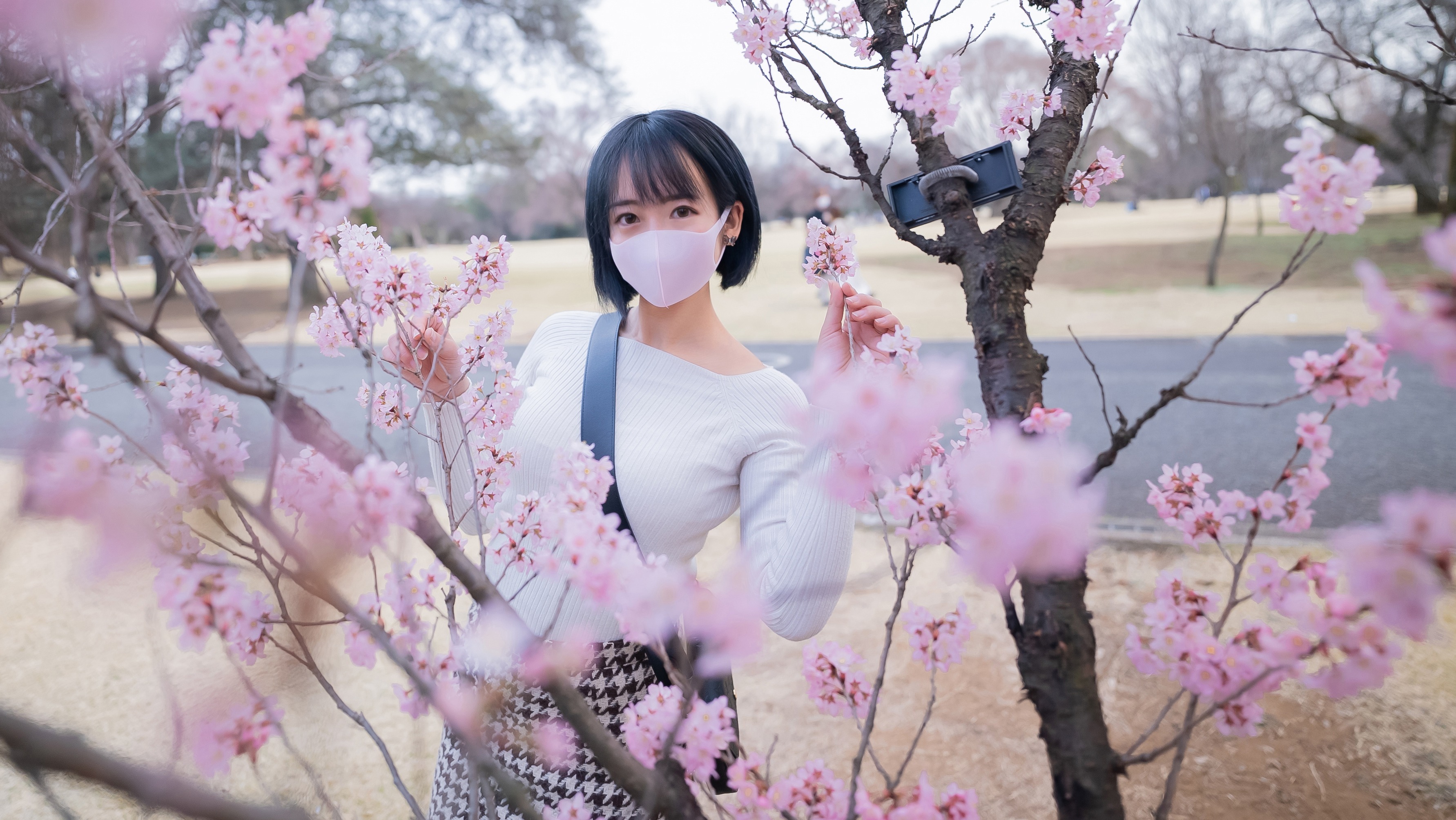 FC2PPV-2786634 귀엽고 청순한 여자에게 3번 연속 질내 사정 일본 야동-노모