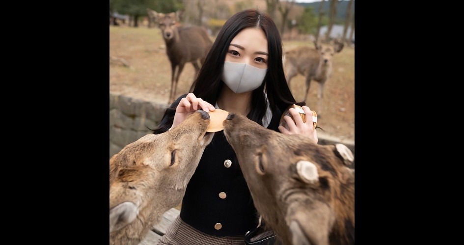 FC2PPV-2577615 긴 검은 생머리의 이쁜 소녀 일본 야동-노모